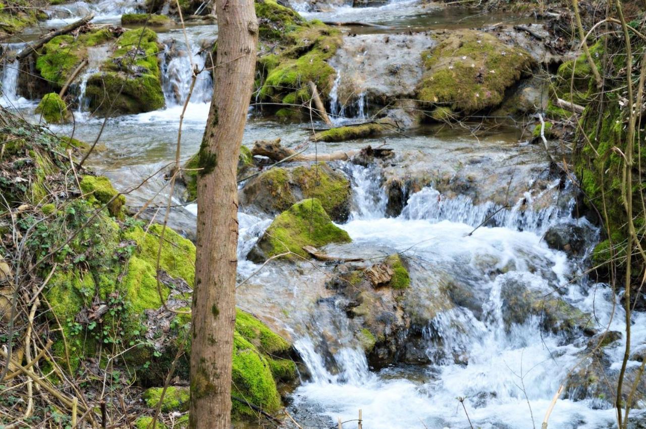 Smestaj Durungara Jovic Петровац-на-Млави Экстерьер фото