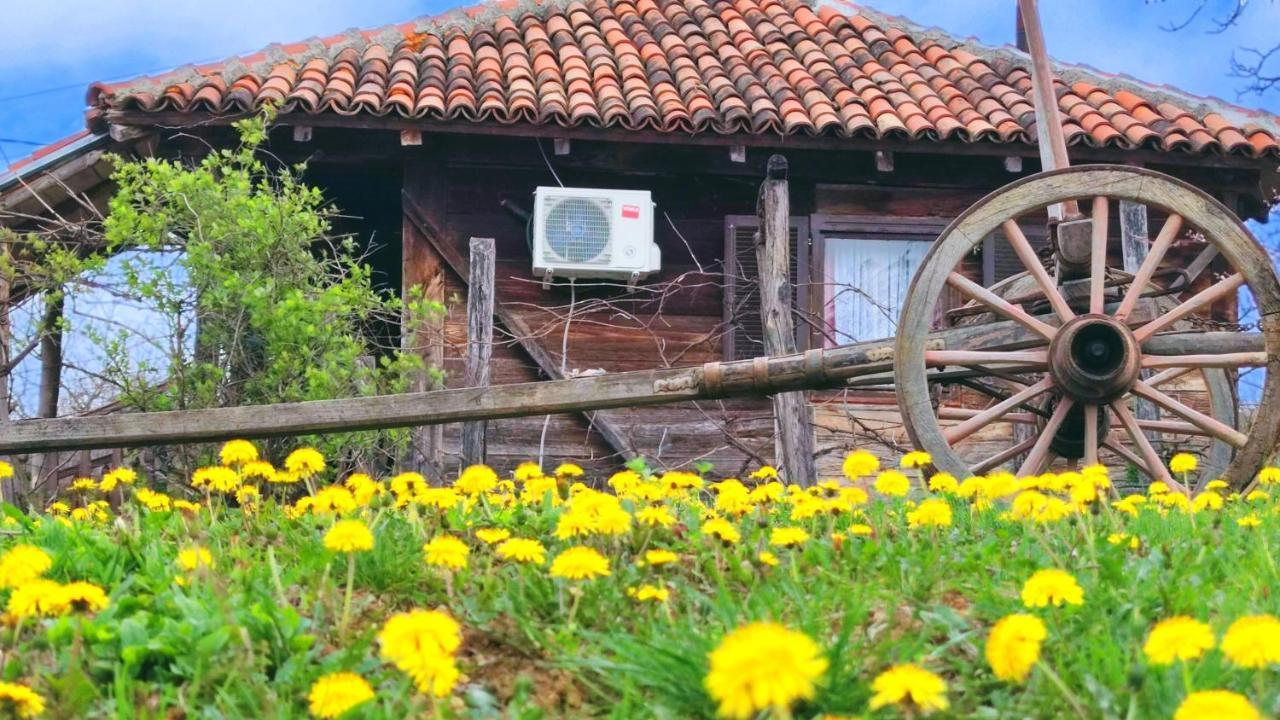 Smestaj Durungara Jovic Петровац-на-Млави Экстерьер фото